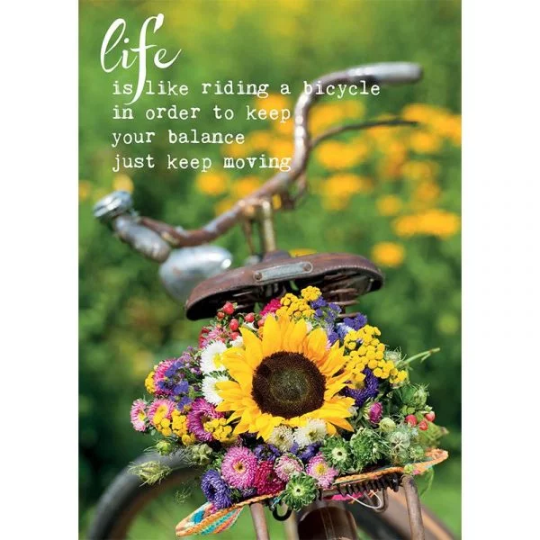 Ansichtkaarten Life is like riding a -- 15x10.5 cm