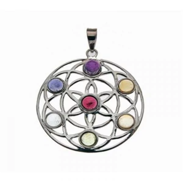 Chakra mandala zilveren hanger -- 6 g; 3.5 cm
