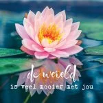 Dubbele kaarten De wereld is veel mooier.. -- 14x14 cm