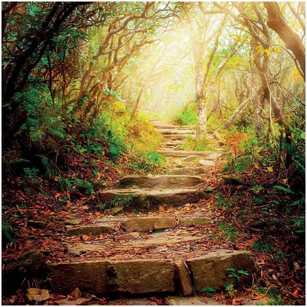 Dubbele kaarten The road ahead -- 14x14 cm