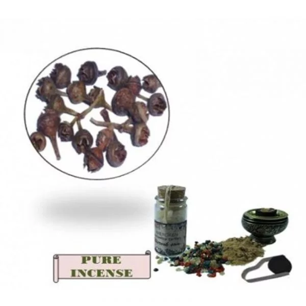 Eucalyptus wierookkruid -- 8 g; 30 ml