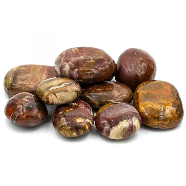 Jumbostenen versteend hout -- 500g