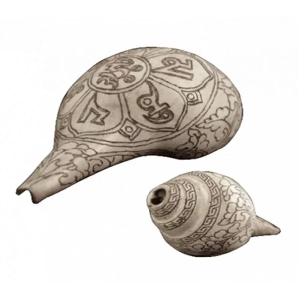 Rituele witte trompetschelp OMPMH -- ±18 cm