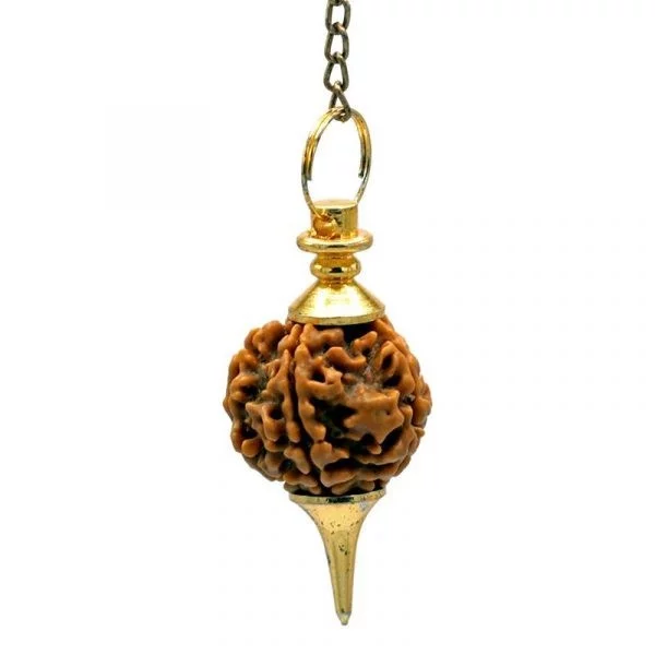 Rudraksha Pendel goudkleurig -- 10 g; 4.5 cm