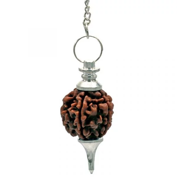 Rudraksha Pendel zilverkleurig -- 10 g; 4.5 cm