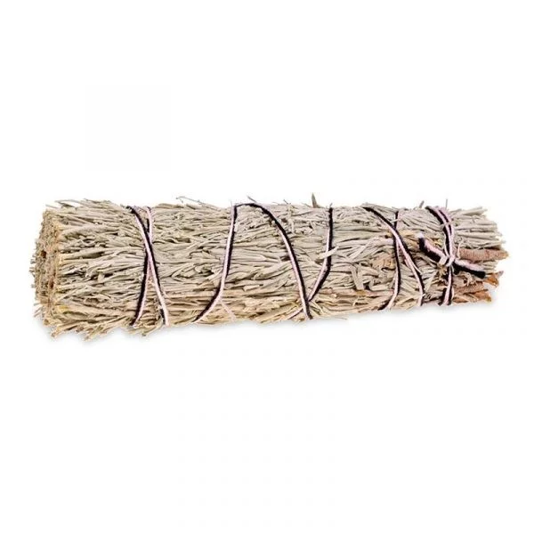 Shasta Sage Smudge S per 2 verpakt -- 11x3 cm