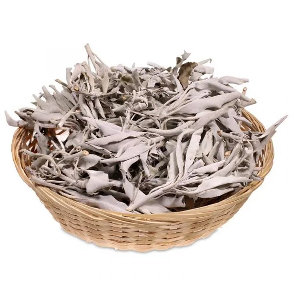 Wierook Witte Salie (Salvia Apiana) -- 500 g