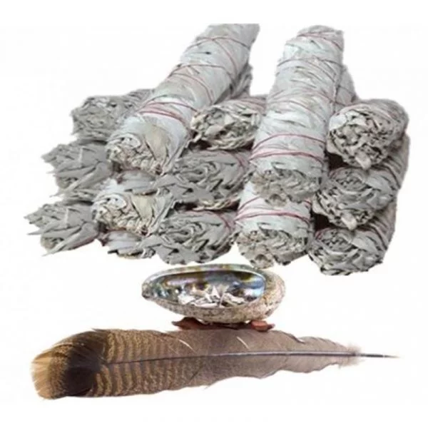 Witte Salie Smudge M per 20 verpakt -- 45-60 g; 16 cm