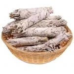 Witte Salie Smudge S per 24 in mandje -- 20-35 g; 10x3 cm