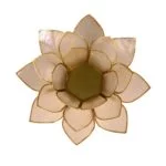 Lotus sfeerlicht naturel goudrand -- 13.5 cm - Afbeelding 2