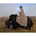 Sjaal met jak wol -- 475g; 240x105 cm - Afbeelding 3