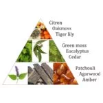 Aromafume wierookblokjes Forest Dew -- 40 g - Afbeelding 2