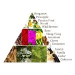 Aromafume Chakra wierookblokjes 4e chakra -- 40g - Afbeelding 3