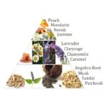 Aromafume Chakra wierookblokjes 7e chakra -- 40g - Afbeelding 3