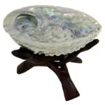 Abalone schelp Haliotis Midae voor smudging -- 11-15 cm - Afbeelding 2