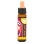 Chakra Essences SET van 10 flesjes -- 10 ml - Afbeelding 2