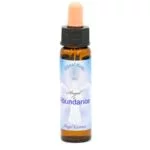 Angel Essences SET van 20 flesjes compleet -- 10 ml - Afbeelding 2