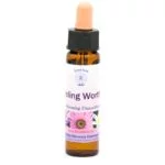 Core Emotions, Divine Harmony Essences SET 10 -- 10 ml - Afbeelding 2