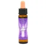 Archangels & Ascended Masters SET 10 flesjes -- 10 ml - Afbeelding 2