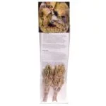 Yerba Santa Smudge S per 2 verpakt -- 20-35g; 10x3 cm - Afbeelding 2