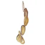 Windmobiel agaat naturel -- 70 cm - Afbeelding 3