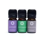 Etherische olie Aromatherapie set - Song of India - Breathe - Afbeelding 2