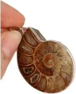 Ammoniet hanger met verzilverde rand