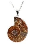 Ammoniet hanger met verzilverde rand - Afbeelding 2