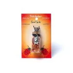 Geschenkflesje aan koord met carneool en lieveheersbeestje - 3.6 cm - Afbeelding 2