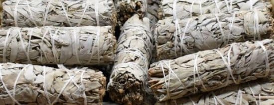 550x212 White Sage smudge sticks 7 stuks - Afbeelding 1