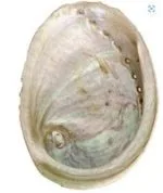 Reinig je huis pakket - Afbeelding 4