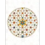 Notitieblokje Bloem des Levens - 12,5 cm x 9,5 cm - Afbeelding 3