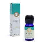 Etherische Eucalyptus olie Song of India - 10 ml