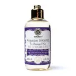 Antioxidant shampoo voor beschadigd haar - 200 ml